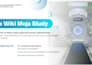 make professional ppt for academic or business presentations